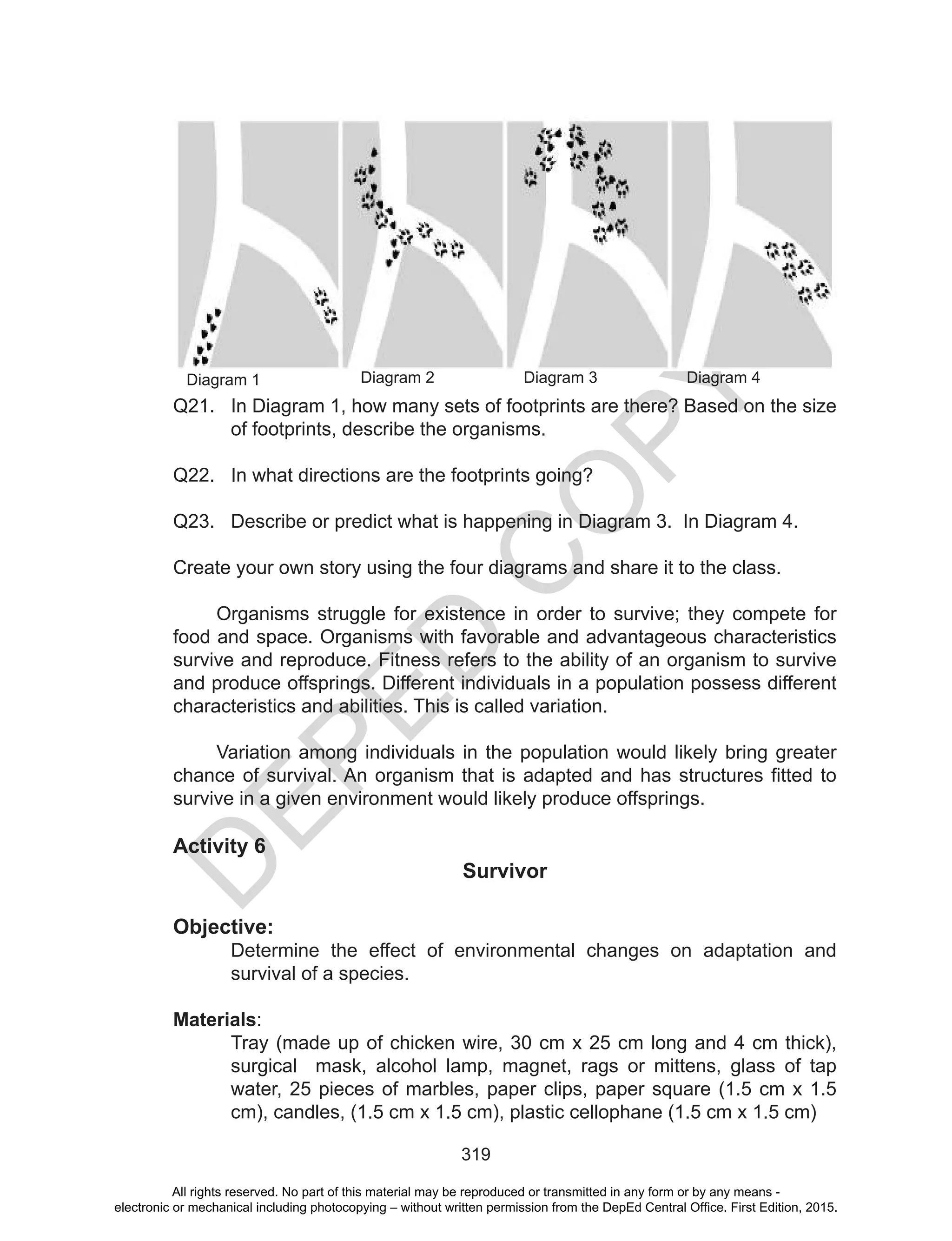 D
EPED
C
O
PY
319
Diagram 1 Diagram 2 Diagram 3 Diagram 4
Q21. In Diagram 1, how many sets of footprints are there? Based on the size
of footprints, describe the organisms.
Q22. In what directions are the footprints going?
Q23. Describe or predict what is happening in Diagram 3. In Diagram 4.
Create your own story using the four diagrams and share it to the class.
Organisms struggle for existence in order to survive; they compete for
food and space. Organisms with favorable and advantageous characteristics
survive and reproduce. Fitness refers to the ability of an organism to survive
and produce offsprings. Different individuals in a population possess different
characteristics and abilities. This is called variation.
Variation among individuals in the population would likely bring greater
chance of survival. An organism that is adapted and has structures fitted to
survive in a given environment would likely produce offsprings.
Activity 6
Survivor
Objective:
Determine the effect of environmental changes on adaptation and
survival of a species.
Materials:
Tray (made up of chicken wire, 30 cm x 25 cm long and 4 cm thick),
surgical mask, alcohol lamp, magnet, rags or mittens, glass of tap
water, 25 pieces of marbles, paper clips, paper square (1.5 cm x 1.5
cm), candles, (1.5 cm x 1.5 cm), plastic cellophane (1.5 cm x 1.5 cm)
All rights reserved. No part of this material may be reproduced or transmitted in any form or by any means -
electronic or mechanical including photocopying – without written permission from the DepEd Central Office. First Edition, 2015.
 