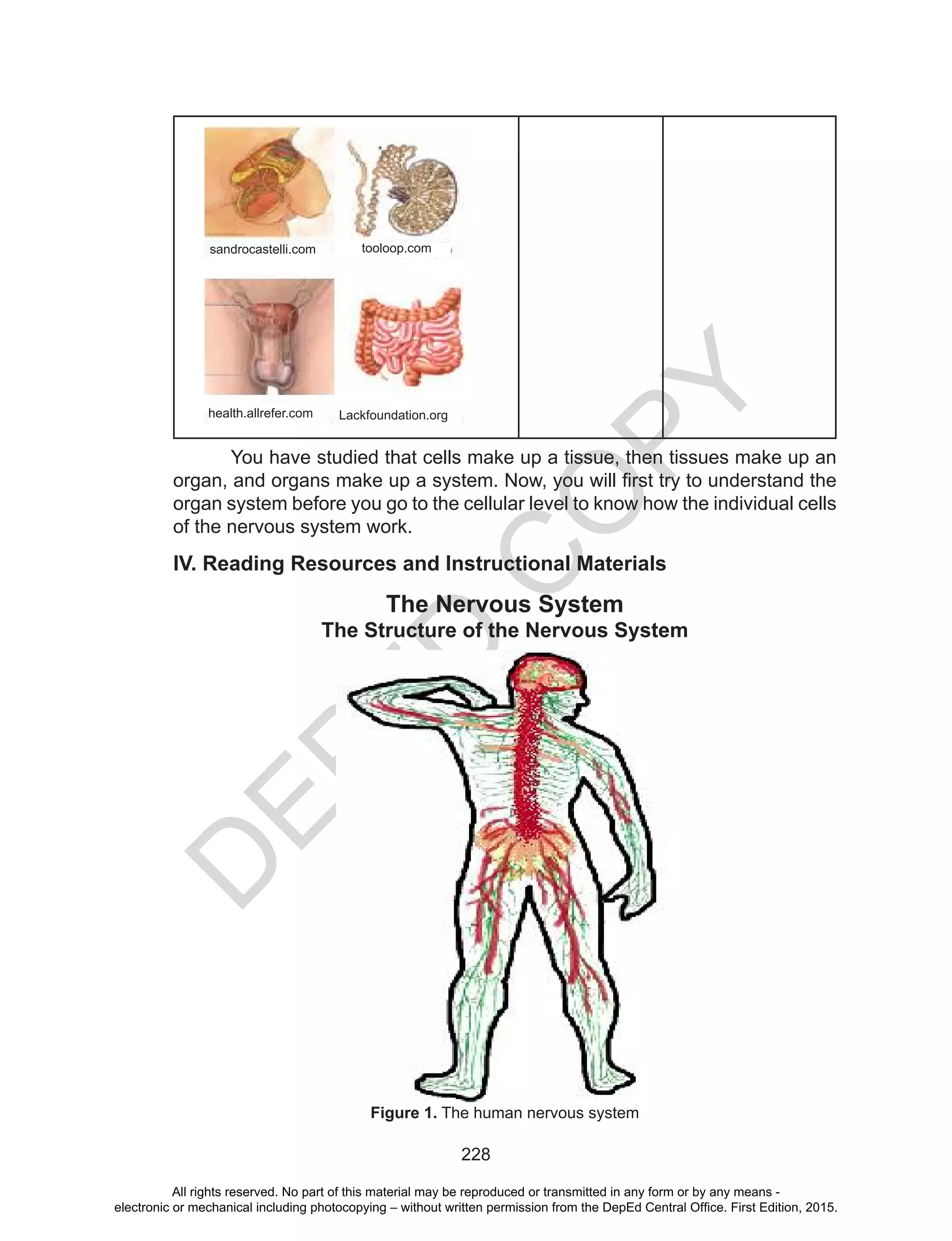 D
EPED
C
O
PY
228
You have studied that cells make up a tissue, then tissues make up an
organ, and organs make up a system. Now, you will first try to understand the
organ system before you go to the cellular level to know how the individual cells
of the nervous system work.
IV. Reading Resources and Instructional Materials
The Nervous System
The Structure of the Nervous System
Figure 1. The human nervous system
sandrocastelli.com tooloop.com
health.allrefer.com Lackfoundation.org
All rights reserved. No part of this material may be reproduced or transmitted in any form or by any means -
electronic or mechanical including photocopying – without written permission from the DepEd Central Office. First Edition, 2015.
 