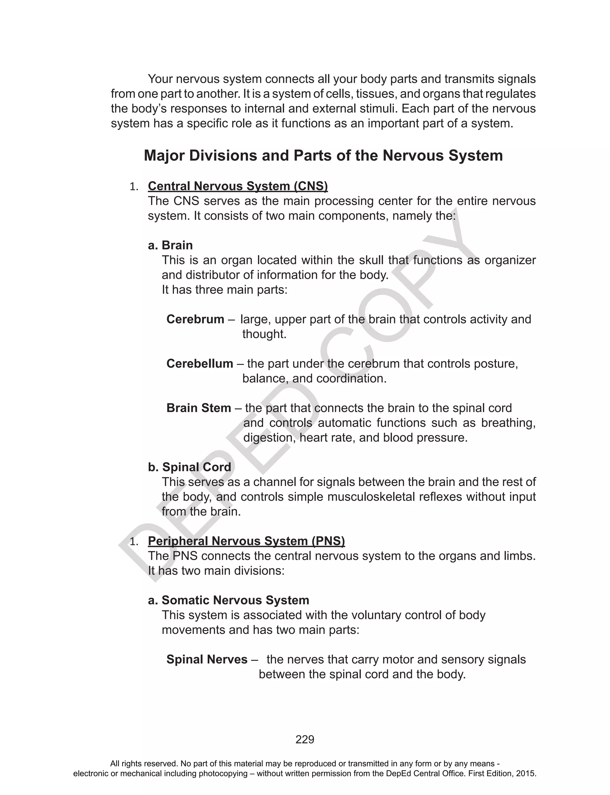 D
EPED
C
O
PY
229
Your nervous system connects all your body parts and transmits signals
from one part to another. It is a system of cells, tissues, and organs that regulates
the body’s responses to internal and external stimuli. Each part of the nervous
system has a specific role as it functions as an important part of a system.
Major Divisions and Parts of the Nervous System
1.	 Central Nervous System (CNS)
The CNS serves as the main processing center for the entire nervous
system. It consists of two main components, namely the:
a. Brain
This is an organ located within the skull that functions as organizer
and distributor of information for the body.
It has three main parts:
Cerebrum –  large, upper part of the brain that controls activity and 	
		 thought.
Cerebellum – the part under the cerebrum that controls posture,
balance, and coordination.
Brain Stem – the part that connects the brain to the spinal cord
and controls automatic functions such as breathing,
digestion, heart rate, and blood pressure.
b. Spinal Cord
This serves as a channel for signals between the brain and the rest of
the body, and controls simple musculoskeletal reflexes without input
from the brain.
1.	 Peripheral Nervous System (PNS)
The PNS connects the central nervous system to the organs and limbs.
It has two main divisions:
a. Somatic Nervous System
This system is associated with the voluntary control of body
movements and has two main parts:
Spinal Nerves –   the nerves that carry motor and sensory signals
between the spinal cord and the body.
All rights reserved. No part of this material may be reproduced or transmitted in any form or by any means -
electronic or mechanical including photocopying – without written permission from the DepEd Central Office. First Edition, 2015.
 