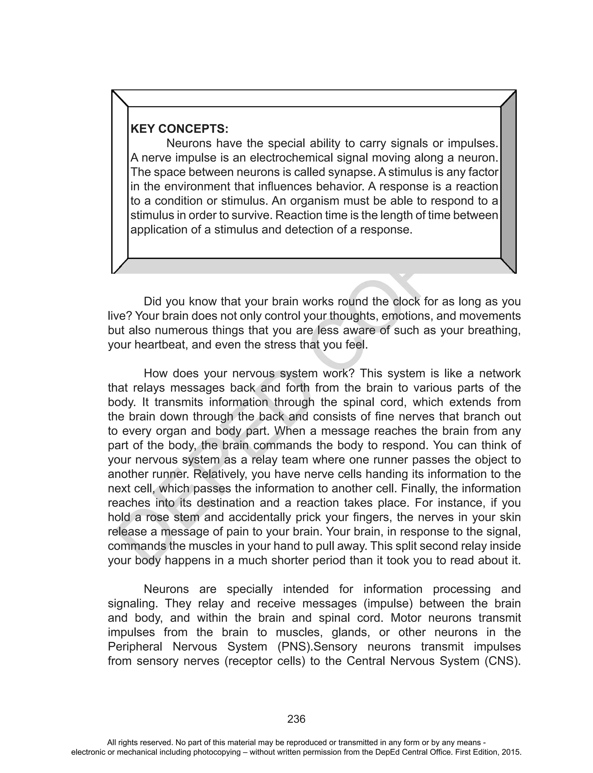 D
EPED
C
O
PY
236
KEY CONCEPTS:
	 Neurons have the special ability to carry signals or impulses.
A nerve impulse is an electrochemical signal moving along a neuron.
The space between neurons is called synapse. A stimulus is any factor
in the environment that influences behavior. A response is a reaction
to a condition or stimulus. An organism must be able to respond to a
stimulus in order to survive. Reaction time is the length of time between
application of a stimulus and detection of a response.
	 Did you know that your brain works round the clock for as long as you
live? Your brain does not only control your thoughts, emotions, and movements
but also numerous things that you are less aware of such as your breathing,
your heartbeat, and even the stress that you feel.
	 How does your nervous system work? This system is like a network
that relays messages back and forth from the brain to various parts of the
body. It transmits information through the spinal cord, which extends from
the brain down through the back and consists of fine nerves that branch out
to every organ and body part. When a message reaches the brain from any
part of the body, the brain commands the body to respond. You can think of
your nervous system as a relay team where one runner passes the object to
another runner. Relatively, you have nerve cells handing its information to the
next cell, which passes the information to another cell. Finally, the information
reaches into its destination and a reaction takes place. For instance, if you
hold a rose stem and accidentally prick your fingers, the nerves in your skin
release a message of pain to your brain. Your brain, in response to the signal,
commands the muscles in your hand to pull away. This split second relay inside
your body happens in a much shorter period than it took you to read about it.
	 Neurons are specially intended for information processing and
signaling. They relay and receive messages (impulse) between the brain
and body, and within the brain and spinal cord. Motor neurons transmit
impulses from the brain to muscles, glands, or other neurons in the
Peripheral Nervous System (PNS).Sensory neurons transmit impulses
from sensory nerves (receptor cells) to the Central Nervous System (CNS).
All rights reserved. No part of this material may be reproduced or transmitted in any form or by any means -
electronic or mechanical including photocopying – without written permission from the DepEd Central Office. First Edition, 2015.
 
