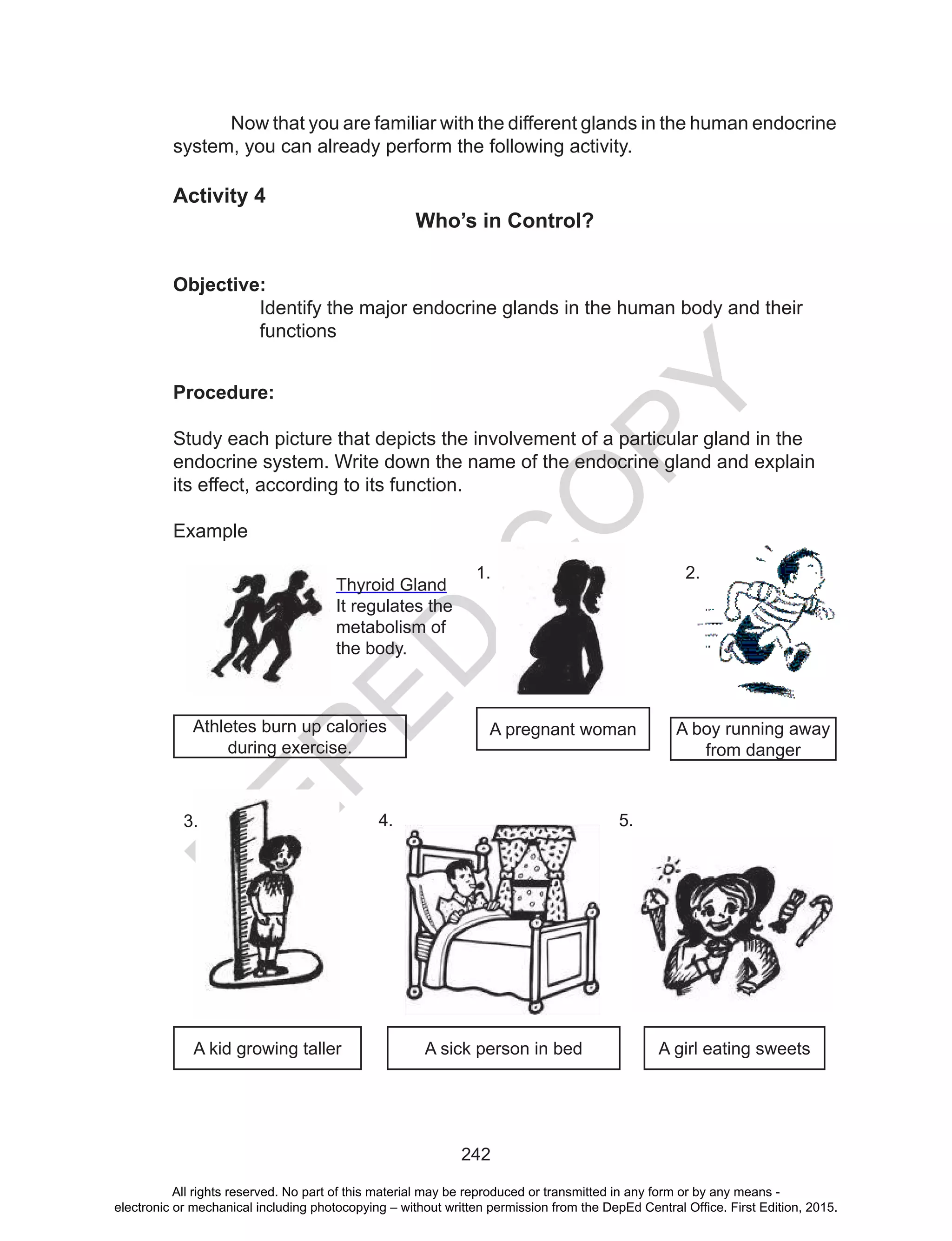 D
EPED
C
O
PY
242
Now that you are familiar with the different glands in the human endocrine
system, you can already perform the following activity.
Activity 4
Who’s in Control?
Objective:
Identify the major endocrine glands in the human body and their
functions
Procedure:
Study each picture that depicts the involvement of a particular gland in the
endocrine system. Write down the name of the endocrine gland and explain
its effect, according to its function.
Example
Athletes burn up calories
during exercise.
Thyroid Gland
It regulates the
metabolism of
the body.
1.
A pregnant woman A boy running away
from danger
2.
A kid growing taller A sick person in bed A girl eating sweets
3. 4. 5.
All rights reserved. No part of this material may be reproduced or transmitted in any form or by any means -
electronic or mechanical including photocopying – without written permission from the DepEd Central Office. First Edition, 2015.
 