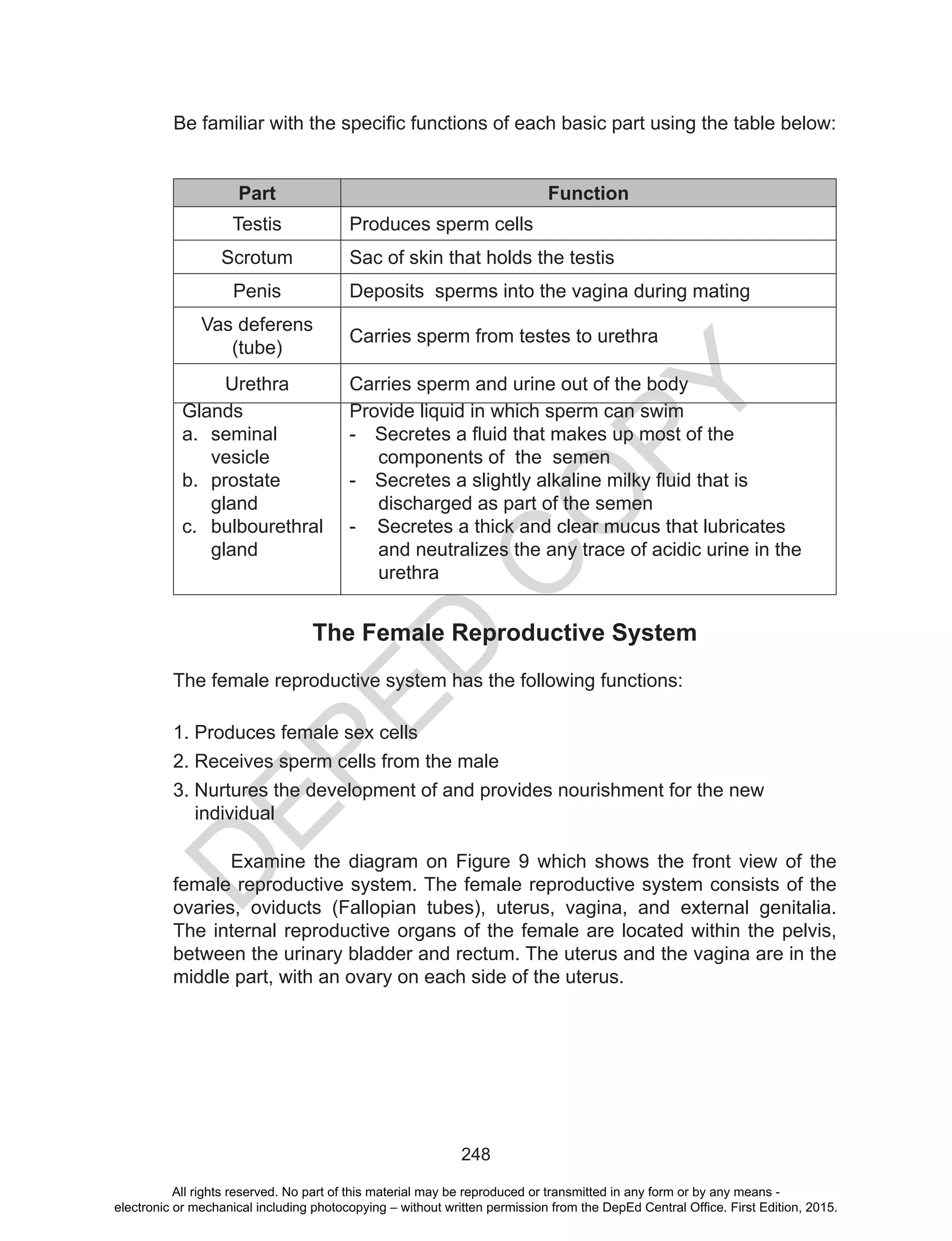 D
EPED
C
O
PY
248
Part Function
Testis Produces sperm cells
Scrotum Sac of skin that holds the testis
Penis Deposits sperms into the vagina during mating
Vas deferens
(tube)
Carries sperm from testes to urethra
Urethra Carries sperm and urine out of the body
Glands
a.	 seminal
vesicle
b.	 prostate
gland
c.	 bulbourethral
gland
Provide liquid in which sperm can swim
-	 Secretes a fluid that makes up most of the
components of the semen
-	 Secretes a slightly alkaline milky fluid that is
discharged as part of the semen
- Secretes a thick and clear mucus that lubricates
and neutralizes the any trace of acidic urine in the
urethra
The Female Reproductive System
The female reproductive system has the following functions:
1. Produces female sex cells
2. Receives sperm cells from the male
3. Nurtures the development of and provides nourishment for the new
individual
Be familiar with the specific functions of each basic part using the table below:
	 Examine the diagram on Figure 9 which shows the front view of the
female reproductive system. The female reproductive system consists of the
ovaries, oviducts (Fallopian tubes), uterus, vagina, and external genitalia.
The internal reproductive organs of the female are located within the pelvis,
between the urinary bladder and rectum. The uterus and the vagina are in the
middle part, with an ovary on each side of the uterus.
All rights reserved. No part of this material may be reproduced or transmitted in any form or by any means -
electronic or mechanical including photocopying – without written permission from the DepEd Central Office. First Edition, 2015.
 