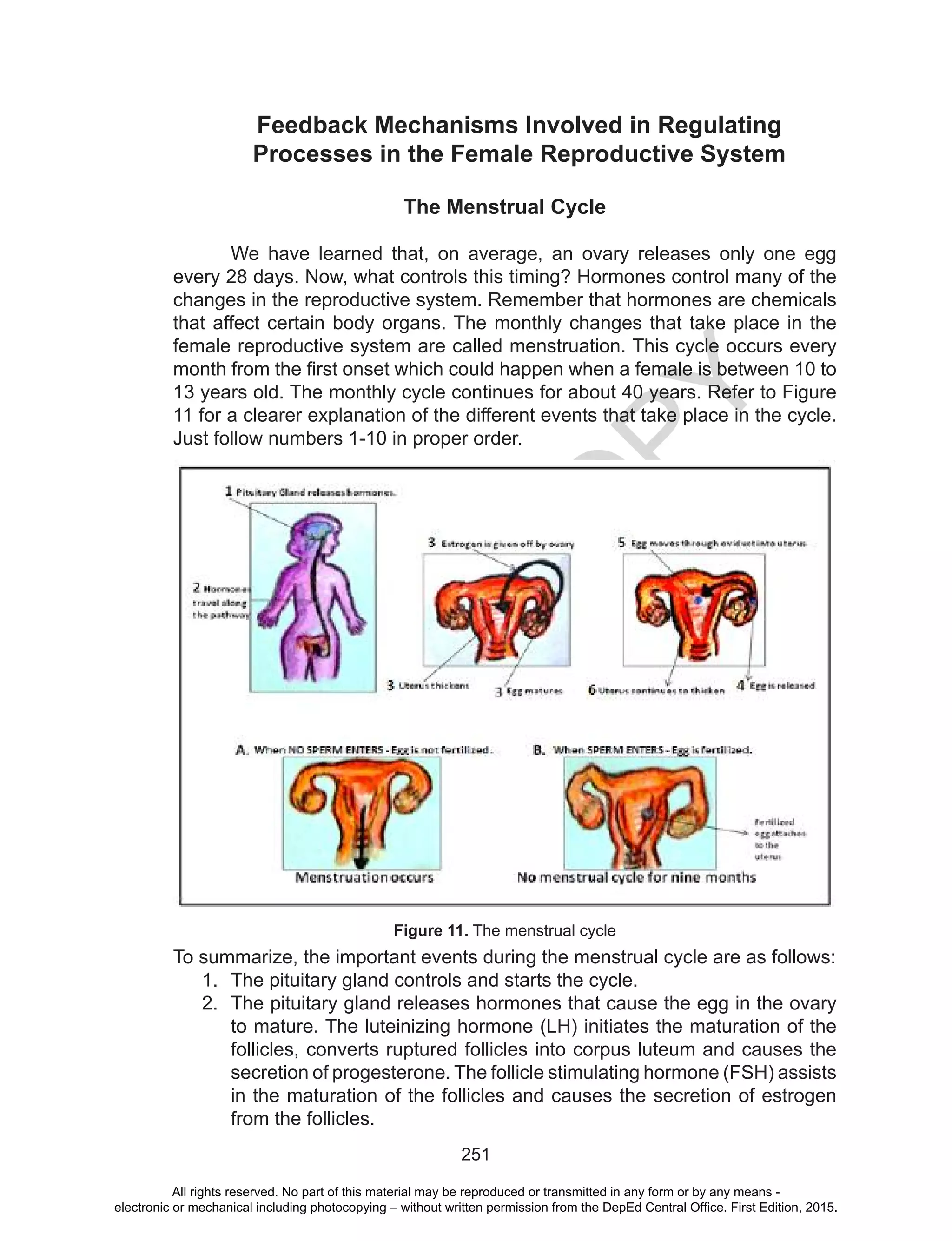 D
EPED
C
O
PY
251
Feedback Mechanisms Involved in Regulating
Processes in the Female Reproductive System
The Menstrual Cycle
We have learned that, on average, an ovary releases only one egg
every 28 days. Now, what controls this timing? Hormones control many of the
changes in the reproductive system. Remember that hormones are chemicals
that affect certain body organs. The monthly changes that take place in the
female reproductive system are called menstruation. This cycle occurs every
month from the first onset which could happen when a female is between 10 to
13 years old. The monthly cycle continues for about 40 years. Refer to Figure
11 for a clearer explanation of the different events that take place in the cycle.
Just follow numbers 1-10 in proper order.
To summarize, the important events during the menstrual cycle are as follows:
1.	 The pituitary gland controls and starts the cycle.
2.	 The pituitary gland releases hormones that cause the egg in the ovary
to mature. The luteinizing hormone (LH) initiates the maturation of the
follicles, converts ruptured follicles into corpus luteum and causes the
secretion of progesterone. The follicle stimulating hormone (FSH) assists
in the maturation of the follicles and causes the secretion of estrogen
from the follicles.
Figure 11. The menstrual cycle
All rights reserved. No part of this material may be reproduced or transmitted in any form or by any means -
electronic or mechanical including photocopying – without written permission from the DepEd Central Office. First Edition, 2015.
 