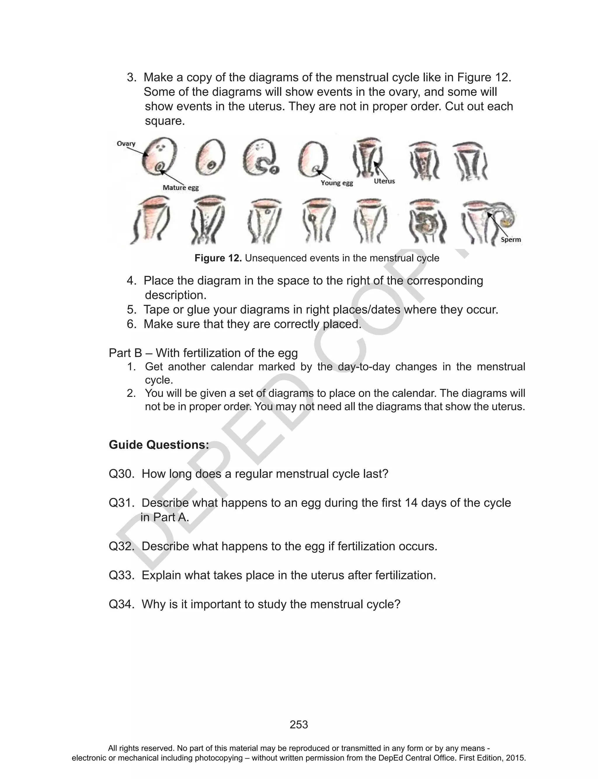 D
EPED
C
O
PY
253
3. Make a copy of the diagrams of the menstrual cycle like in Figure 12.
Some of the diagrams will show events in the ovary, and some will
show events in the uterus. They are not in proper order. Cut out each
square.
4. Place the diagram in the space to the right of the corresponding
description.
5. Tape or glue your diagrams in right places/dates where they occur.
6. Make sure that they are correctly placed.
Part B – With fertilization of the egg
1.	 Get another calendar marked by the day-to-day changes in the menstrual
cycle.
2.	 You will be given a set of diagrams to place on the calendar. The diagrams will
not be in proper order. You may not need all the diagrams that show the uterus.
Guide Questions:
Q30. How long does a regular menstrual cycle last?
Q31. Describe what happens to an egg during the first 14 days of the cycle
in Part A.
Q32. Describe what happens to the egg if fertilization occurs.
Q33. Explain what takes place in the uterus after fertilization.
Q34. Why is it important to study the menstrual cycle?
Figure 12. Unsequenced events in the menstrual cycle
All rights reserved. No part of this material may be reproduced or transmitted in any form or by any means -
electronic or mechanical including photocopying – without written permission from the DepEd Central Office. First Edition, 2015.
 