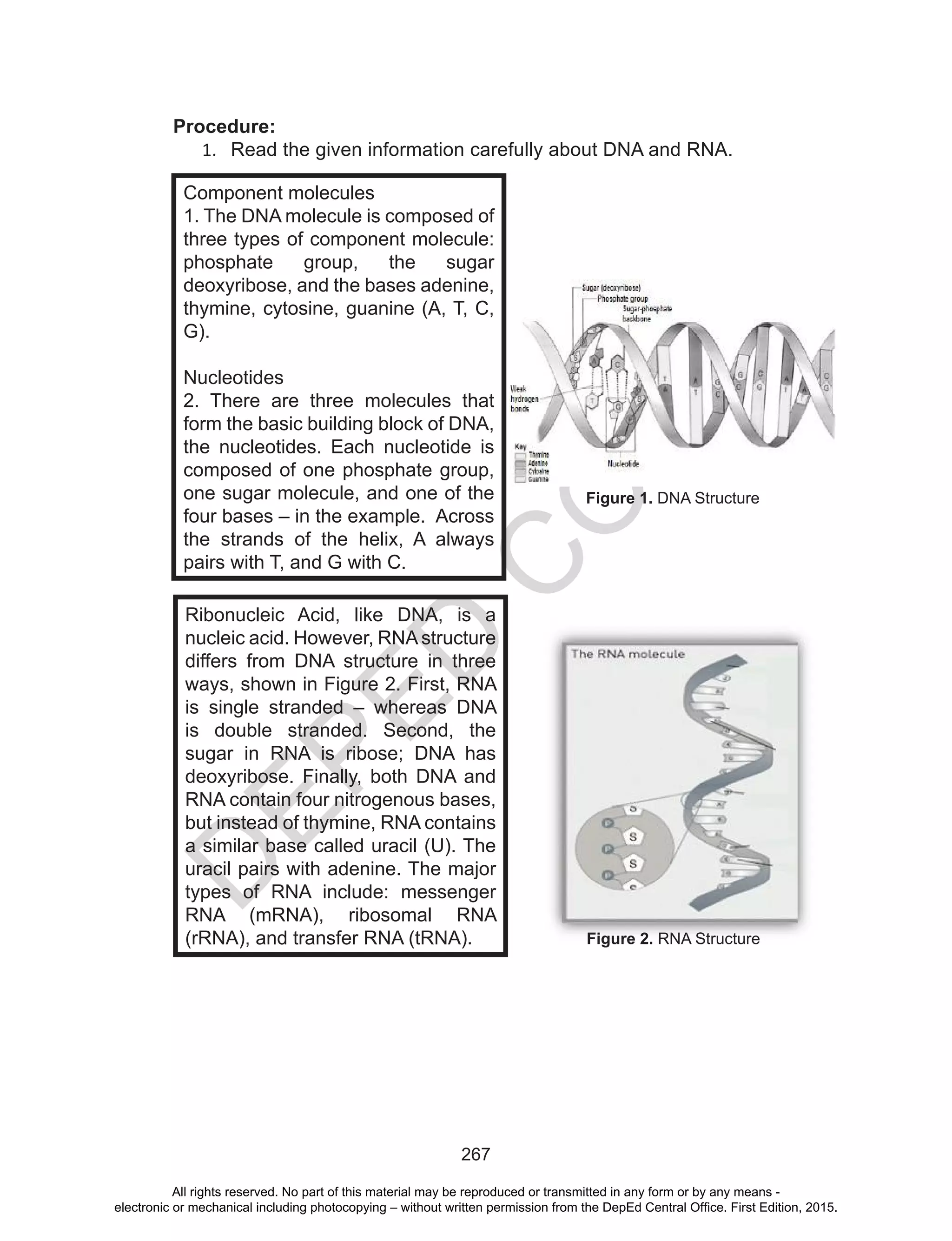 D
EPED
C
O
PY
267
Procedure:
1.	 Read the given information carefully about DNA and RNA.
Figure 1. DNA Structure
Component molecules
1. The DNA molecule is composed of
three types of component molecule:
phosphate group, the sugar
deoxyribose, and the bases adenine,
thymine, cytosine, guanine (A, T, C,
G).
Nucleotides
2. There are three molecules that
form the basic building block of DNA,
the nucleotides. Each nucleotide is
composed of one phosphate group,
one sugar molecule, and one of the
four bases – in the example. Across
the strands of the helix, A always
pairs with T, and G with C.
Figure 2. RNA Structure
Ribonucleic Acid, like DNA, is a
nucleic acid. However, RNA structure
differs from DNA structure in three
ways, shown in Figure 2. First, RNA
is single stranded – whereas DNA
is double stranded. Second, the
sugar in RNA is ribose; DNA has
deoxyribose. Finally, both DNA and
RNA contain four nitrogenous bases,
but instead of thymine, RNA contains
a similar base called uracil (U). The
uracil pairs with adenine. The major
types of RNA include: messenger
RNA (mRNA), ribosomal RNA
(rRNA), and transfer RNA (tRNA).
All rights reserved. No part of this material may be reproduced or transmitted in any form or by any means -
electronic or mechanical including photocopying – without written permission from the DepEd Central Office. First Edition, 2015.
 
