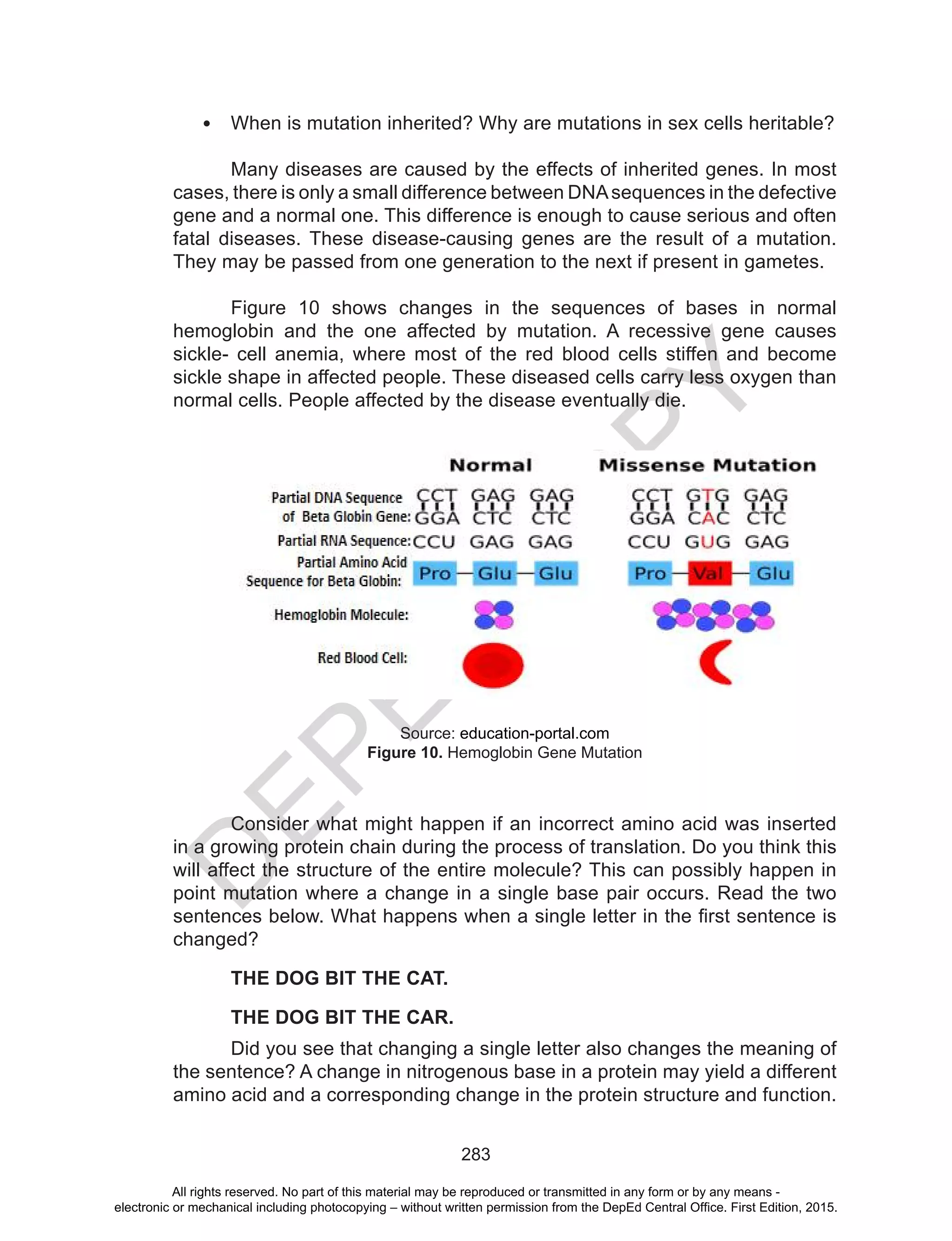 D
EPED
C
O
PY
283
•	 When is mutation inherited? Why are mutations in sex cells heritable?
	 Many diseases are caused by the effects of inherited genes. In most
cases, there is only a small difference between DNAsequences in the defective
gene and a normal one. This difference is enough to cause serious and often
fatal diseases. These disease-causing genes are the result of a mutation.
They may be passed from one generation to the next if present in gametes.
	 Figure 10 shows changes in the sequences of bases in normal
hemoglobin and the one affected by mutation. A recessive gene causes
sickle- cell anemia, where most of the red blood cells stiffen and become
sickle shape in affected people. These diseased cells carry less oxygen than
normal cells. People affected by the disease eventually die.
Consider what might happen if an incorrect amino acid was inserted
in a growing protein chain during the process of translation. Do you think this
will affect the structure of the entire molecule? This can possibly happen in
point mutation where a change in a single base pair occurs. Read the two
sentences below. What happens when a single letter in the first sentence is
changed?
THE DOG BIT THE CAT.
THE DOG BIT THE CAR.
Did you see that changing a single letter also changes the meaning of
the sentence? A change in nitrogenous base in a protein may yield a different
amino acid and a corresponding change in the protein structure and function.
Source: education-portal.com
Figure 10. Hemoglobin Gene Mutation
All rights reserved. No part of this material may be reproduced or transmitted in any form or by any means -
electronic or mechanical including photocopying – without written permission from the DepEd Central Office. First Edition, 2015.
 