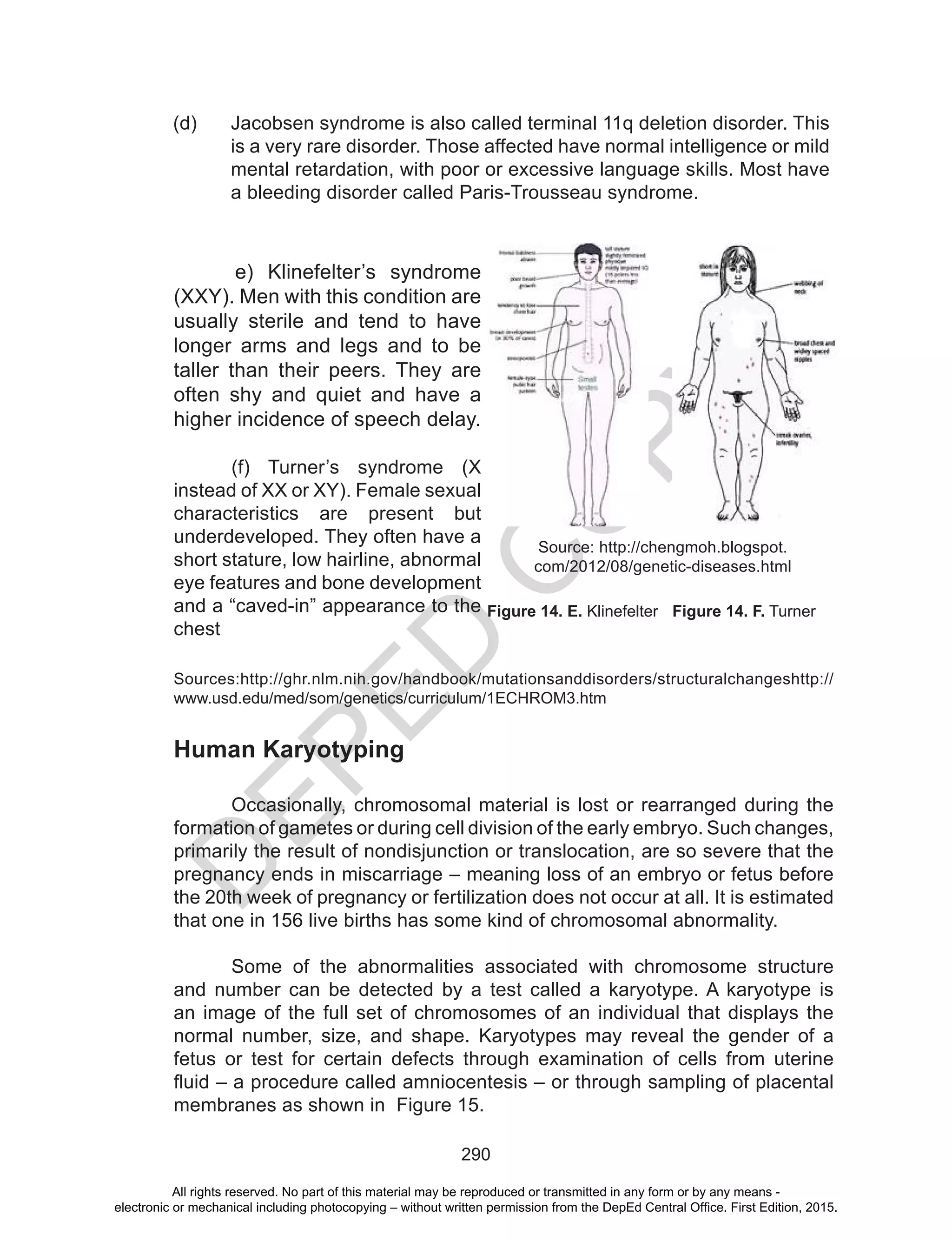 D
EPED
C
O
PY
290
e) Klinefelter’s syndrome
(XXY). Men with this condition are
usually sterile and tend to have
longer arms and legs and to be
taller than their peers. They are
often shy and quiet and have a
higher incidence of speech delay.
(f) Turner’s syndrome (X
instead of XX or XY). Female sexual
characteristics are present but
underdeveloped. They often have a
short stature, low hairline, abnormal
eye features and bone development
and a “caved-in” appearance to the
chest
Figure 14. F. TurnerFigure 14. E. Klinefelter
Source: http://chengmoh.blogspot.
com/2012/08/genetic-diseases.html
Sources:http://ghr.nlm.nih.gov/handbook/mutationsanddisorders/structuralchangeshttp://
www.usd.edu/med/som/genetics/curriculum/1ECHROM3.htm
Human Karyotyping
	 Occasionally, chromosomal material is lost or rearranged during the
formation of gametes or during cell division of the early embryo. Such changes,
primarily the result of nondisjunction or translocation, are so severe that the
pregnancy ends in miscarriage – meaning loss of an embryo or fetus before
the 20th week of pregnancy or fertilization does not occur at all. It is estimated
that one in 156 live births has some kind of chromosomal abnormality.
	 Some of the abnormalities associated with chromosome structure
and number can be detected by a test called a karyotype. A karyotype is
an image of the full set of chromosomes of an individual that displays the
normal number, size, and shape. Karyotypes may reveal the gender of a
fetus or test for certain defects through examination of cells from uterine
fluid – a procedure called amniocentesis – or through sampling of placental
membranes as shown in Figure 15.
(d) 	 Jacobsen syndrome is also called terminal 11q deletion disorder. This
is a very rare disorder. Those affected have normal intelligence or mild
mental retardation, with poor or excessive language skills. Most have
a bleeding disorder called Paris-Trousseau syndrome.
All rights reserved. No part of this material may be reproduced or transmitted in any form or by any means -
electronic or mechanical including photocopying – without written permission from the DepEd Central Office. First Edition, 2015.
 