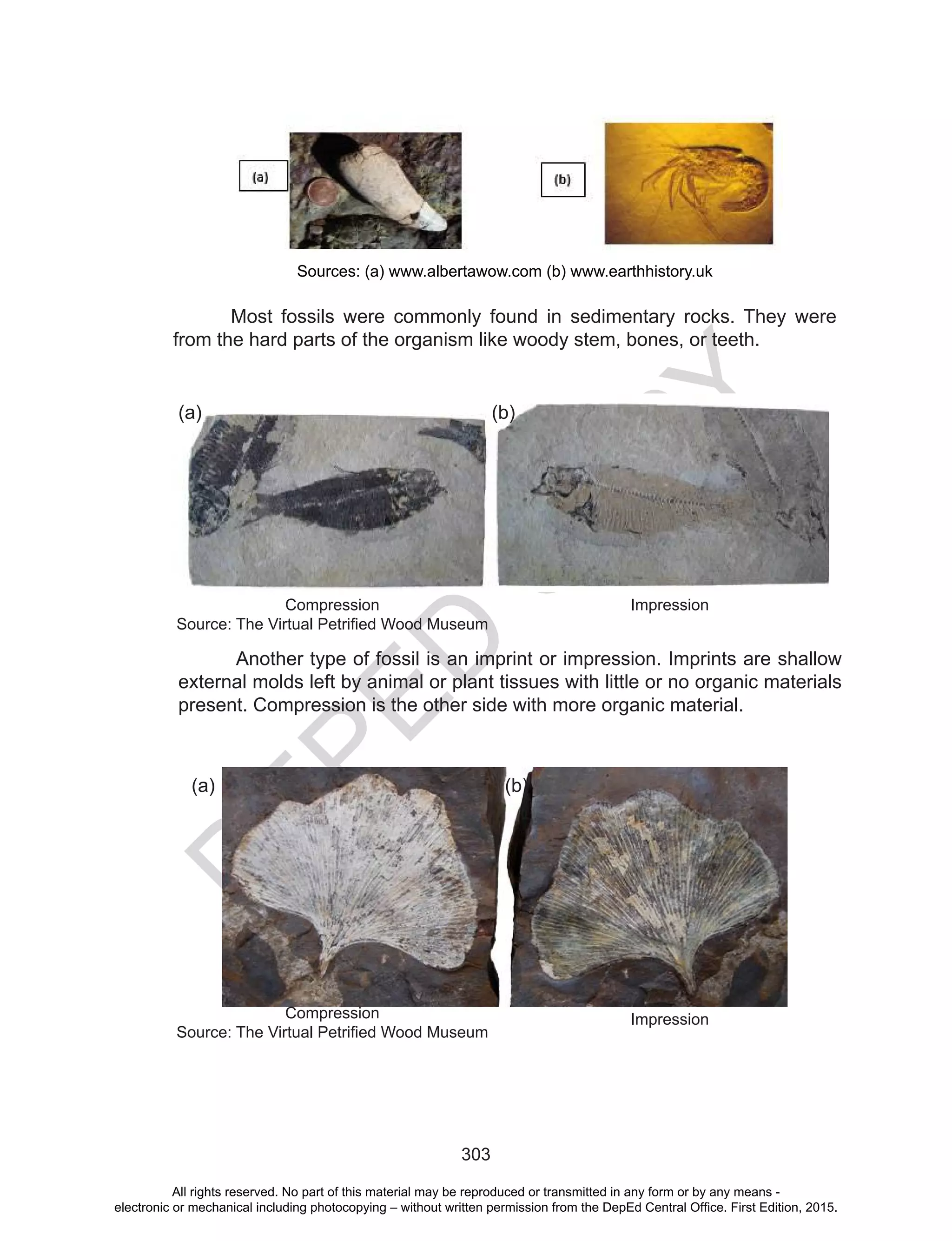 D
EPED
C
O
PY
303
Sources: (a) www.albertawow.com (b) www.earthhistory.uk
Most fossils were commonly found in sedimentary rocks. They were
from the hard parts of the organism like woody stem, bones, or teeth.
Compression
Source: The Virtual Petrified Wood Museum
Impression
Another type of fossil is an imprint or impression. Imprints are shallow
external molds left by animal or plant tissues with little or no organic materials
present. Compression is the other side with more organic material.
(a) (b)
(a) (b)
Compression
Source: The Virtual Petrified Wood Museum
Impression
All rights reserved. No part of this material may be reproduced or transmitted in any form or by any means -
electronic or mechanical including photocopying – without written permission from the DepEd Central Office. First Edition, 2015.
 