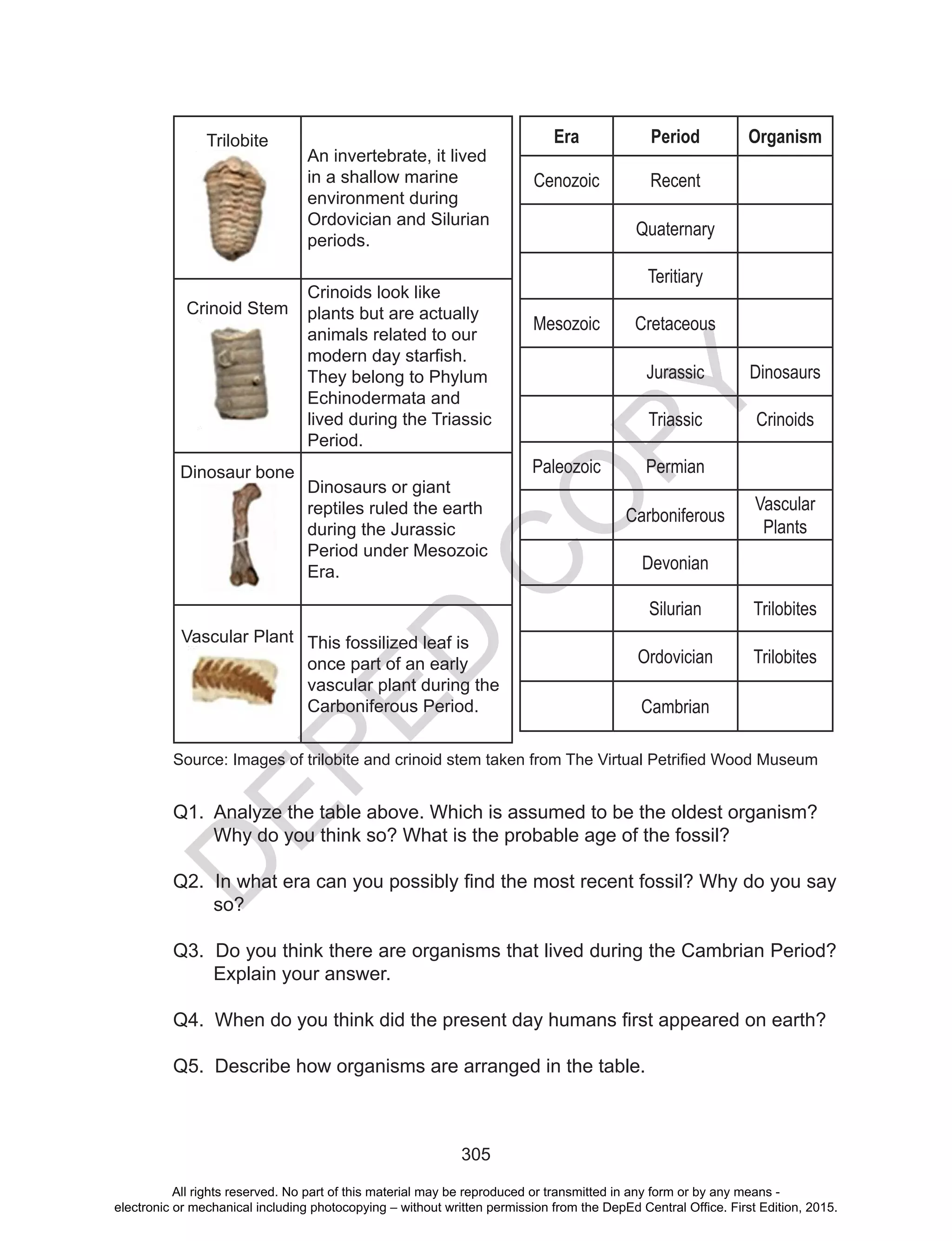 D
EPED
C
O
PY
305
Trilobite
An invertebrate, it lived
in a shallow marine
environment during
Ordovician and Silurian
periods.
Crinoid Stem
Crinoids look like
plants but are actually
animals related to our
modern day starfish.
They belong to Phylum
Echinodermata and
lived during the Triassic
Period.
Dinosaur bone
Dinosaurs or giant
reptiles ruled the earth
during the Jurassic
Period under Mesozoic
Era.
Vascular Plant This fossilized leaf is
once part of an early
vascular plant during the
Carboniferous Period.
Q1. Analyze the table above. Which is assumed to be the oldest organism?
Why do you think so? What is the probable age of the fossil?
Q2. In what era can you possibly find the most recent fossil? Why do you say
so?
Q3. Do you think there are organisms that lived during the Cambrian Period?
Explain your answer.
Q4. When do you think did the present day humans first appeared on earth?
Q5. Describe how organisms are arranged in the table.
Source: Images of trilobite and crinoid stem taken from The Virtual Petrified Wood Museum
Era Period Organism
Cenozoic Recent
Quaternary
Teritiary
Mesozoic Cretaceous
Jurassic Dinosaurs
Triassic Crinoids
Paleozoic Permian
Carboniferous
Vascular
Plants
Devonian
Silurian Trilobites
Ordovician Trilobites
Cambrian
All rights reserved. No part of this material may be reproduced or transmitted in any form or by any means -
electronic or mechanical including photocopying – without written permission from the DepEd Central Office. First Edition, 2015.
 