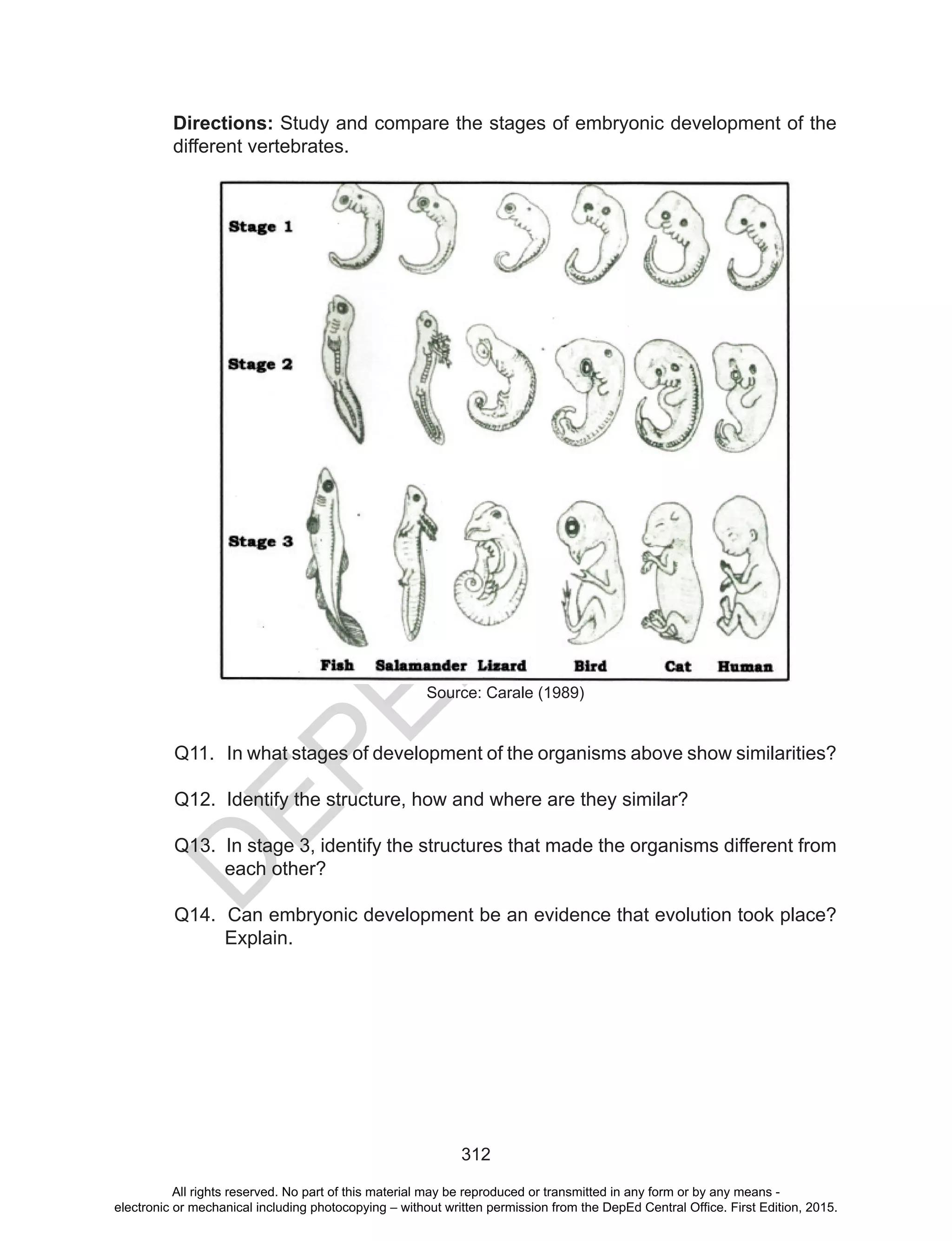 D
EPED
C
O
PY
312
Directions: Study and compare the stages of embryonic development of the
different vertebrates.
Source: Carale (1989)
Q11. In what stages of development of the organisms above show similarities?
Q12. Identify the structure, how and where are they similar?	
Q13. In stage 3, identify the structures that made the organisms different from
each other?
Q14. Can embryonic development be an evidence that evolution took place?
Explain.
All rights reserved. No part of this material may be reproduced or transmitted in any form or by any means -
electronic or mechanical including photocopying – without written permission from the DepEd Central Office. First Edition, 2015.
 