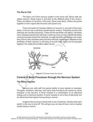 D
EPED
C
O
PY
232
The Nerve Cell
The basic unit of the nervous system is the nerve cell. Nerve cells are
called neurons. Study Figure 2 and look at the different parts of the neuron.
There are billions of neurons in the body. Some exist alone. Others are joined
together to form organs like the brain and spinal cord.
There are twelve to fourteen billions of neurons in one part of the brain
alone. A neuron has a cell body containing the nucleus. Projecting out from the
cell body are root-like structures. These are the dendrites and axons. Dendrites
carry impulses towards the cell body. A cell may have as many as 200 dendrites
carrying impulses toward the cell body. A single dendrite can be over one meter
long. Axons carry impulses away from the cell body. Axons pass impulses to the
dendrites of other neurons or cell body of muscle cells. Axons can be grouped
together into cable-like bundles called nerves.
Control of Body Processes through the Nervous System
The Nerve Impulse
	 Neurons are cells with the special ability to carry signals or impulses.
Thoughts, emotions, learning, and many body functions are carried by nerve
impulses in the neurons. A nerve impulse is a combination of an electrical
charge and a chemical reaction. A nerve impulse is not a flow of electricity, but
an electrochemical signal moving along a neuron.
	 Imagine that you have a board with a row of switches. Quickly click each
switch in the row on and off. This will give you an idea of how a nerve impulse
travels along a neuron.
Figure 2. The basic parts of a neuron
All rights reserved. No part of this material may be reproduced or transmitted in any form or by any means -
electronic or mechanical including photocopying – without written permission from the DepEd Central Office. First Edition, 2015.
 