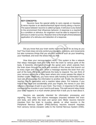 D
EPED
C
O
PY
236
KEY CONCEPTS:
	 Neurons have the special ability to carry signals or impulses.
A nerve impulse is an electrochemical signal moving along a neuron.
The space between neurons is called synapse. A stimulus is any factor
in the environment that influences behavior. A response is a reaction
to a condition or stimulus. An organism must be able to respond to a
stimulus in order to survive. Reaction time is the length of time between
application of a stimulus and detection of a response.
	 Did you know that your brain works round the clock for as long as you
live? Your brain does not only control your thoughts, emotions, and movements
but also numerous things that you are less aware of such as your breathing,
your heartbeat, and even the stress that you feel.
	 How does your nervous system work? This system is like a network
that relays messages back and forth from the brain to various parts of the
body. It transmits information through the spinal cord, which extends from
the brain down through the back and consists of fine nerves that branch out
to every organ and body part. When a message reaches the brain from any
part of the body, the brain commands the body to respond. You can think of
your nervous system as a relay team where one runner passes the object to
another runner. Relatively, you have nerve cells handing its information to the
next cell, which passes the information to another cell. Finally, the information
reaches into its destination and a reaction takes place. For instance, if you
hold a rose stem and accidentally prick your fingers, the nerves in your skin
release a message of pain to your brain. Your brain, in response to the signal,
commands the muscles in your hand to pull away. This split second relay inside
your body happens in a much shorter period than it took you to read about it.
	 Neurons are specially intended for information processing and
signaling. They relay and receive messages (impulse) between the brain
and body, and within the brain and spinal cord. Motor neurons transmit
impulses from the brain to muscles, glands, or other neurons in the
Peripheral Nervous System (PNS).Sensory neurons transmit impulses
from sensory nerves (receptor cells) to the Central Nervous System (CNS).
All rights reserved. No part of this material may be reproduced or transmitted in any form or by any means -
electronic or mechanical including photocopying – without written permission from the DepEd Central Office. First Edition, 2015.
 