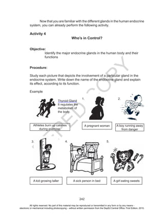 D
EPED
C
O
PY
242
Now that you are familiar with the different glands in the human endocrine
system, you can already perform the following activity.
Activity 4
Who’s in Control?
Objective:
Identify the major endocrine glands in the human body and their
functions
Procedure:
Study each picture that depicts the involvement of a particular gland in the
endocrine system. Write down the name of the endocrine gland and explain
its effect, according to its function.
Example
Athletes burn up calories
during exercise.
Thyroid Gland
It regulates the
metabolism of
the body.
1.
A pregnant woman A boy running away
from danger
2.
A kid growing taller A sick person in bed A girl eating sweets
3. 4. 5.
All rights reserved. No part of this material may be reproduced or transmitted in any form or by any means -
electronic or mechanical including photocopying – without written permission from the DepEd Central Office. First Edition, 2015.
 