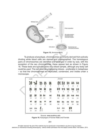 D
EPED
C
O
PY
291
Figure 15. Amniocentesis
To produce a karyotype, chromosomes commonly derived from actively
dividing white blood cells are stained and photographed. The homologous
pairs of chromosomes are identified and arranged in order by size, with the
exception of the sex chromosomes; these appear last as shown in Figure
16. These tests are typically done on a blood sample, although any body cell
could be used. The cell must be undergoing mitosis – preferably in metaphase
– so that the chromosomes are replicated, condensed, and visible under a
microscope.
Source: www.austincc.edu
Figure 16. Karyotype of Human Male and Female
All rights reserved. No part of this material may be reproduced or transmitted in any form or by any means -
electronic or mechanical including photocopying – without written permission from the DepEd Central Office. First Edition, 2015.
 