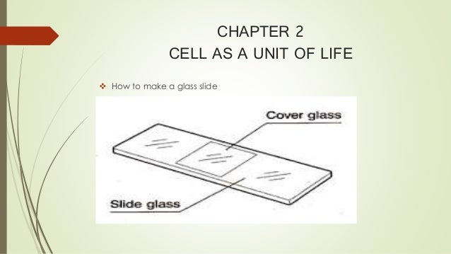 science nota ringkas