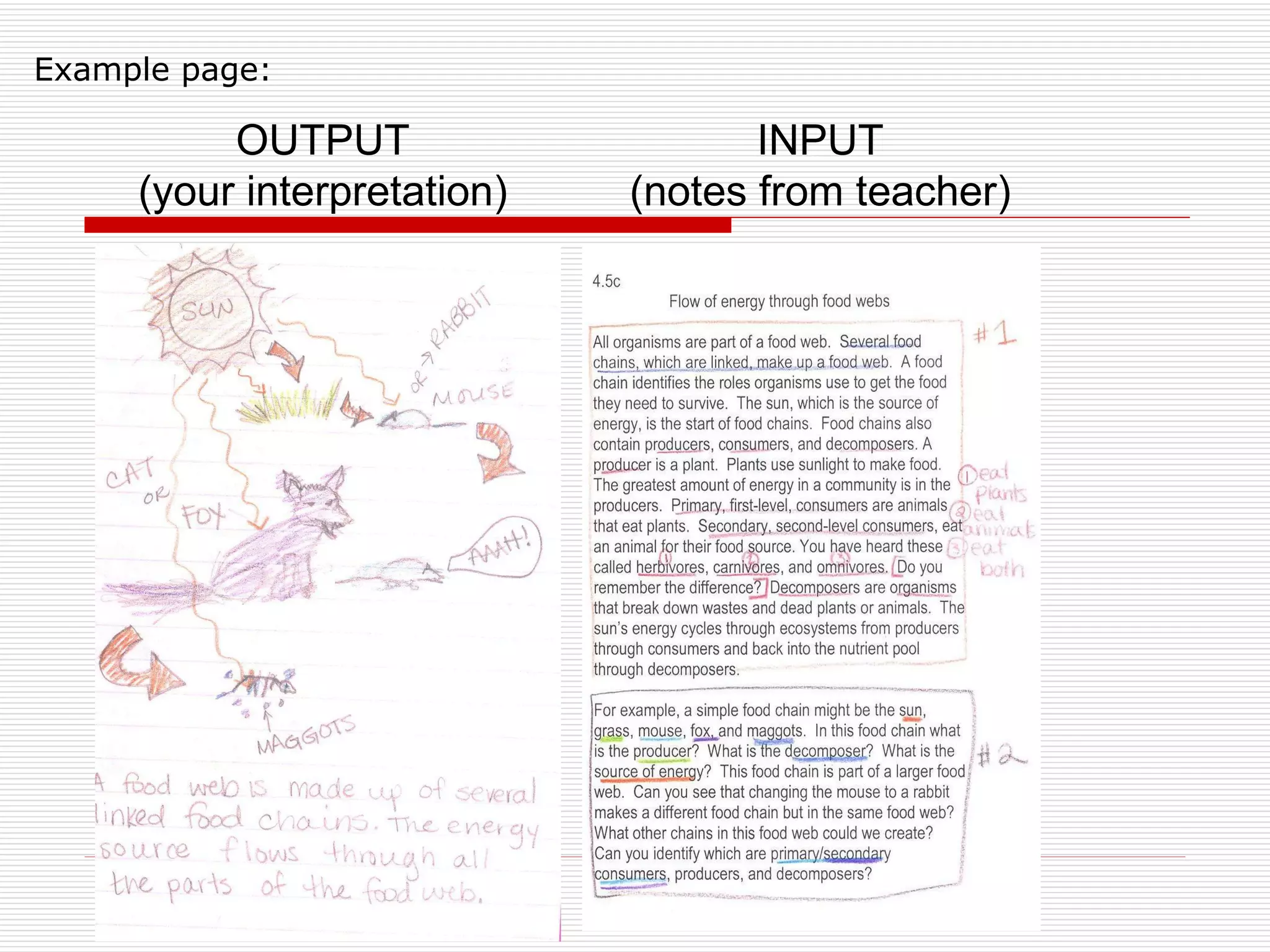 OUTPUT (your interpretation) INPUT (notes from teacher) Example page: 