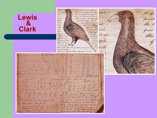 Lewis & Clark 