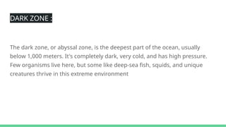 DARK ZONE :
The dark zone, or abyssal zone, is the deepest part of the ocean, usually
below 1,000 meters. It's completely dark, very cold, and has high pressure.
Few organisms live here, but some like deep-sea fish, squids, and unique
creatures thrive in this extreme environment
 