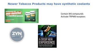 Contain WS compounds
Activate TRPM8 receptors
Newer Tobacco Products may have synthetic coolants
 