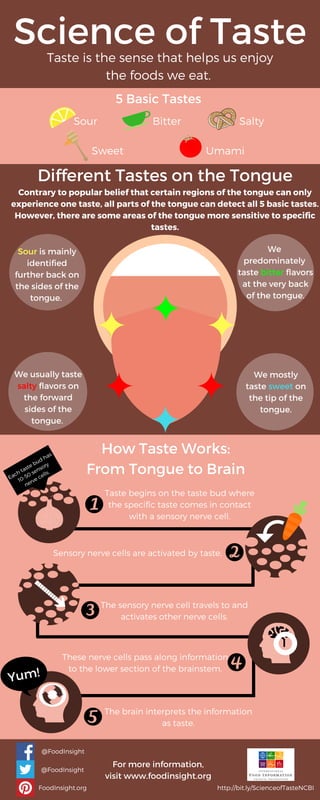 Science of TasteTaste is the sense that helps us enjoy
the foods we eat. 
5 Basic Tastes
Sweet
Sour SaltyBitter
Umami
How Taste Works:
From Tongue to Brain
For more information,
visit www.foodinsight.org
http://bit.ly/ScienceofTasteNCBI
Different Tastes on the Tongue
Sour is mainly
identified
further back on
the sides of the
tongue. 
We 
predominately 
taste bitter flavors
at the very back
of the tongue.
We usually taste
salty flavors on
the forward
sides of the
tongue. 
We mostly
taste sweet on
the tip of the
tongue.
The brain interprets the information
as taste.
These nerve cells pass along information
to the lower section of the brainstem.
Sensory nerve cells are activated by taste. 
Taste begins on the taste bud where
the specific taste comes in contact
with a sensory nerve cell.
@FoodInsight
@FoodInsight
FoodInsight.org
Contrary to popular belief that certain regions of the tongue can only
experience one taste, all parts of the tongue can detect all 5 basic tastes.
However, there are some areas of the tongue more sensitive to specific
tastes.
The sensory nerve cell travels to and
activates other nerve cells.
Each taste bud has
10-50 sensory
nerve cells.
Yum!
 
