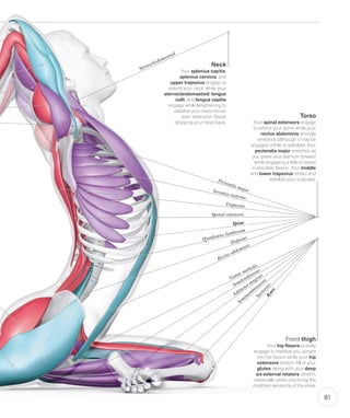 Engaged Spine Science of Yoga - Physiotherapy - Dr Rohit Bhaskar | PDF