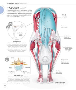 Engaged Spine Science of Yoga - Physiotherapy - Dr Rohit Bhaskar | PDF