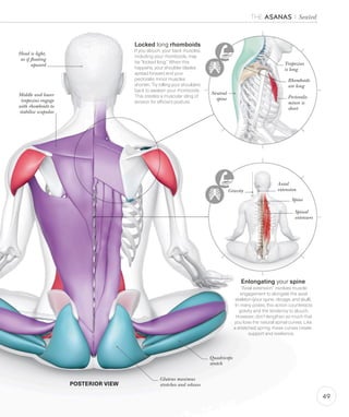 Skeleton Slouched Science of Yoga - Physiotherapy - Dr Rohit Bhaskar | PDF