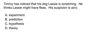 Timmy has noticed that his dog Lassie is scratching. He
thinks Lassie might have fleas. His suspicion is a(n):
A. experiment
B. prediction
C. hypothesis
D. theory
 