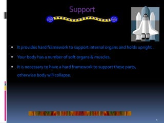 THE HUMAN SKELETON | PPTX