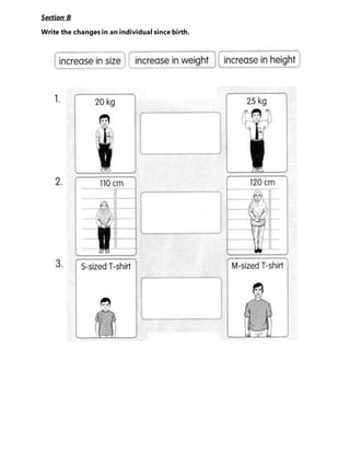 Section B
Write the changes in an individual since birth.