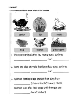 Section D
Complete the sentences below based on the pictures.
 