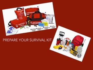 Disaster Preparedness for calamity disasters | PDF