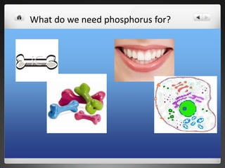 What do we need phosphorus for?
 
