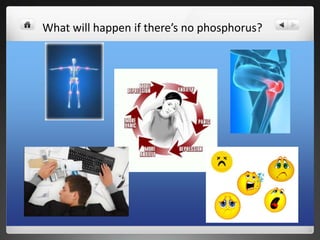 What will happen if there’s no phosphorus?
 