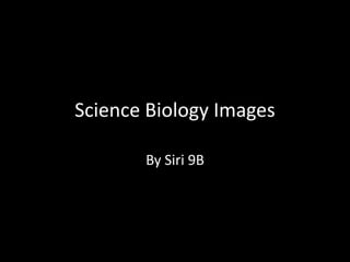 Science Biology Images

       By Siri 9B
 