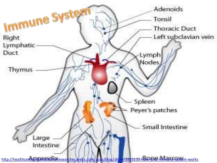 Science Biology Images