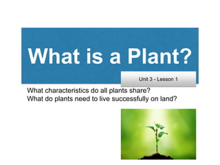 What is a Plant?
What characteristics do all plants share?
What do plants need to live successfully on land?
Unit 3 - Lesson 1
 