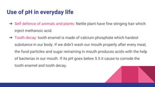 Use of pH in everyday life
➔ Self defence of animals and plants: Nettle plant have fine stinging hair which
inject methanoic acid.
➔ Tooth decay: tooth enamel is made of calcium phosphate which hardest
substance in our body. If we didn’t wash our mouth properly after every meal,
the food particles and sugar remaining in mouth produces acids with the help
of bacterias in our mouth. If its pH goes below 5.5 it cause to corrode the
tooth enamel and tooth decay.
 