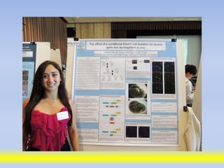 Science poster day 2013