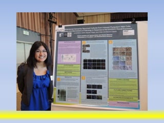 Science poster day 2013