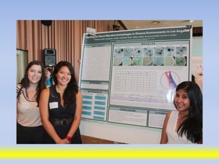 Science poster day 2013