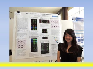 Science poster day 2013