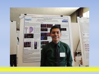 Science poster day 2013