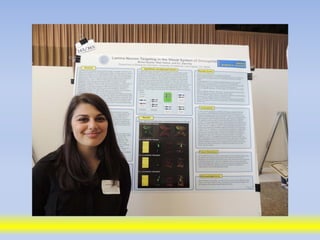 Science poster day 2013