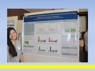 Science poster day 2013