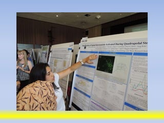 Science poster day 2013