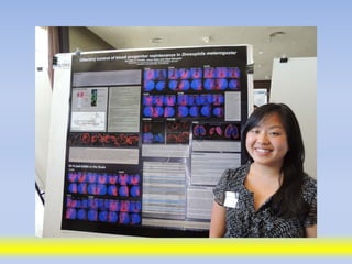 Science poster day 2013