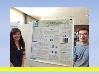 Science poster day 2013