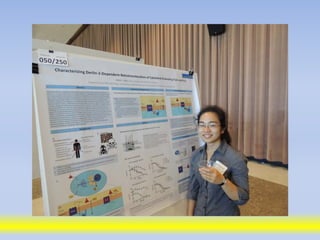 Science poster day 2013