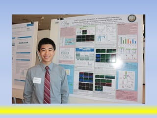 Science poster day 2013